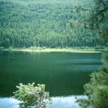 Yellow Bay - Flathead Lake State Park Yellow Bay - Flathead Lake State Park