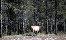 Experience Montana Experience Montana