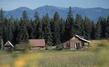 Abbott Valley Homestead