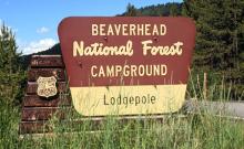 Lodgepole Campground
