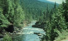 Yaak River Campground Yaak River Campground