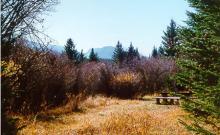 West Boulder Campground