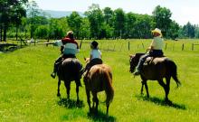 McCormick? Sunset Guest Ranch, LLC