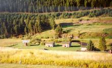 Solbergs Pine Valley Cabins