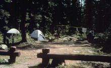 Pete Creek Campground