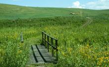 Chief Joseph Group Campground Chief Joseph Group Campground