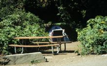Rising Sun Campground