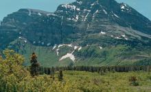 Many Glacier Campground