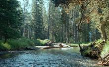 Copper Creek Campground Copper Creek Campground