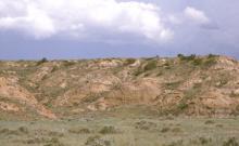 McGuire Creek Campground McGuire Creek Campground