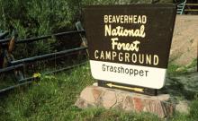 Grasshopper Campground
