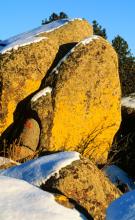 Helena Area Chamber of Commerce