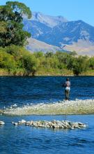 Ennis Chamber of Commerce