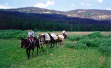 Montana Guide Service