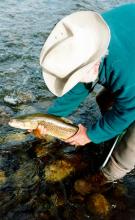 Joe Biner's Rainbow Guide Service