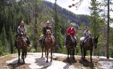 Skyline Guide Service, Inc.