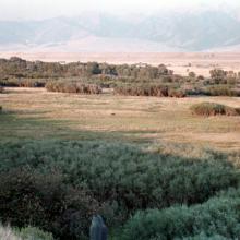 9T9 Ranch Bed & Breakfast