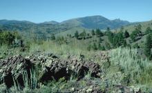 Sleeping Giant Wilderness Area Sleeping Giant Wilderness Area