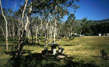 Divide Bridge Campground Divide Bridge Campground