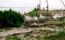 Medicine Lake National Wildlife Refuge