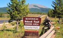 Beaverhead-Deerlodge National Forest