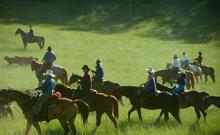 Gold West Country Gold West Country