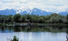 Montana Troutfitters