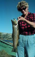 Montana Flycast