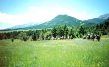 Lazy K Bar Ranch Lazy K Bar Ranch