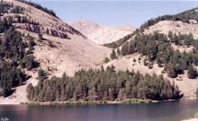 Hildreth Livestock Ranch