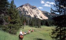 Nine Quarter Circle Ranch Nine Quarter Circle Ranch