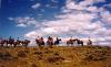 Lonesome Spur Ranch