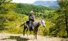 Lonesome Spur Ranch