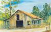 Wilderness Studio Gallery