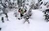 Skiers Edge