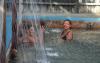 Norris Hot Springs