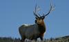 Yellowstone Yearround Adventures