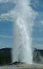 Yellowstone Yearround Adventures