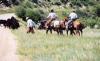 Runamuk Land and Livestock