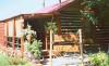 Coyote? Cabin