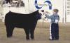 Gallatin County Fairgrounds