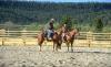 Papoose Creek Lodge