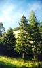 Boulder River Valley Ranch LLC