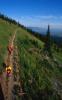 Mountain Bike Trails at Big Mountain Resort