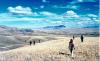 Trailsend Tours