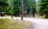 Chippy Park Campground