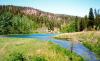 The Holler