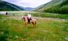 Alice Creek Ranch