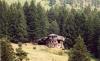 Silver Forest Inn