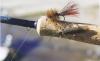 Campbells Guided Fishing Trips